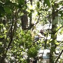 2012-Jul-07HGR4X4_Richloam (107)